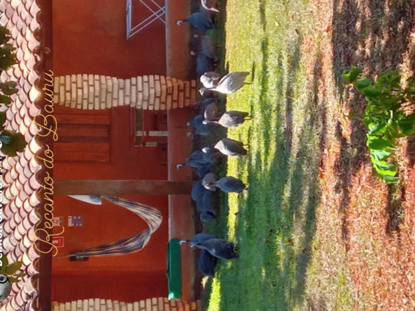 Recanto Do Baru Pirenópolis Екстериор снимка
