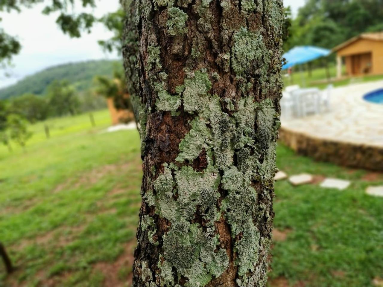 Recanto Do Baru Pirenópolis Екстериор снимка